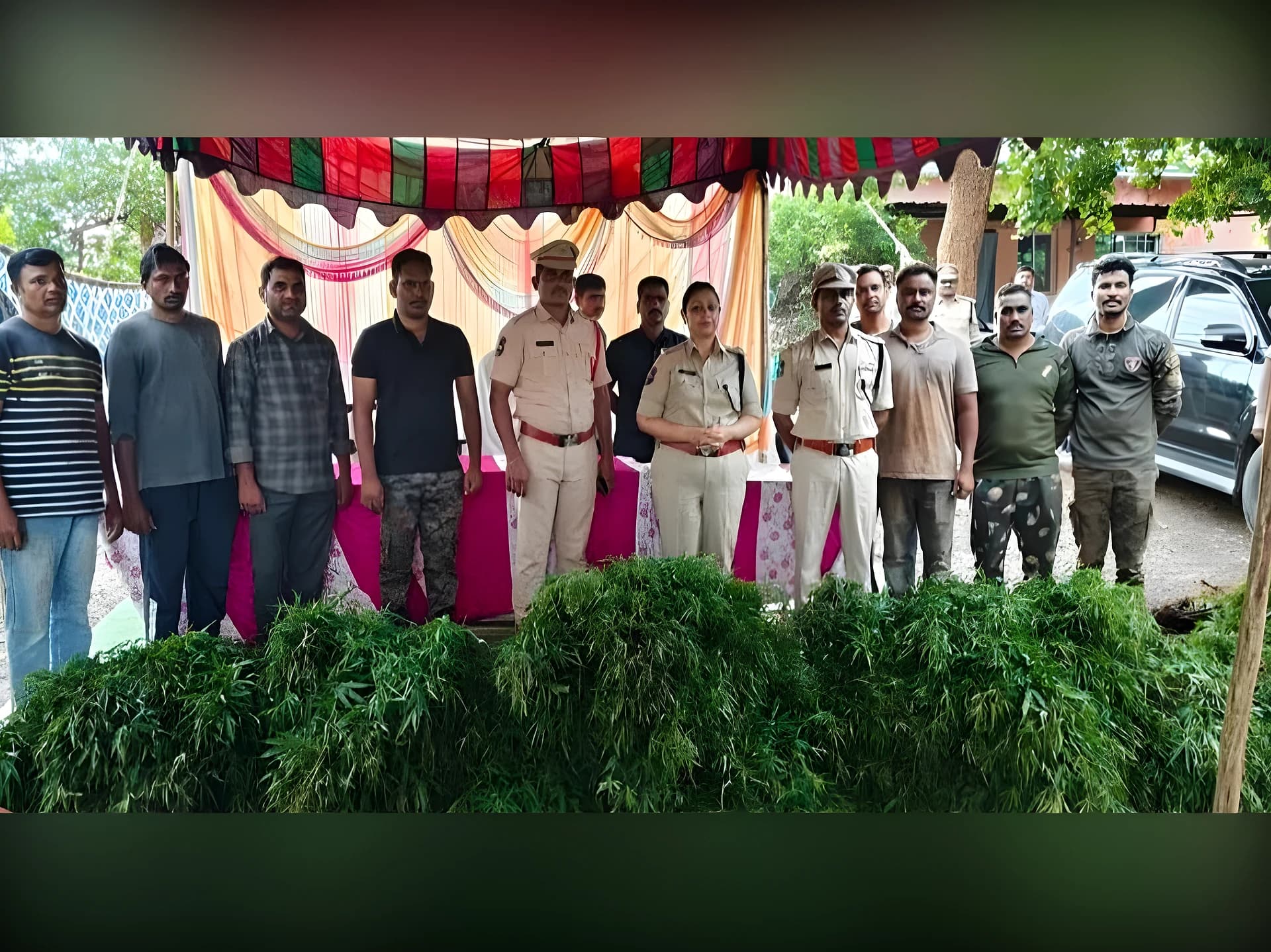 గంజాయి సాగు.. తండ్రీకొడుకులు అరెస్ట్