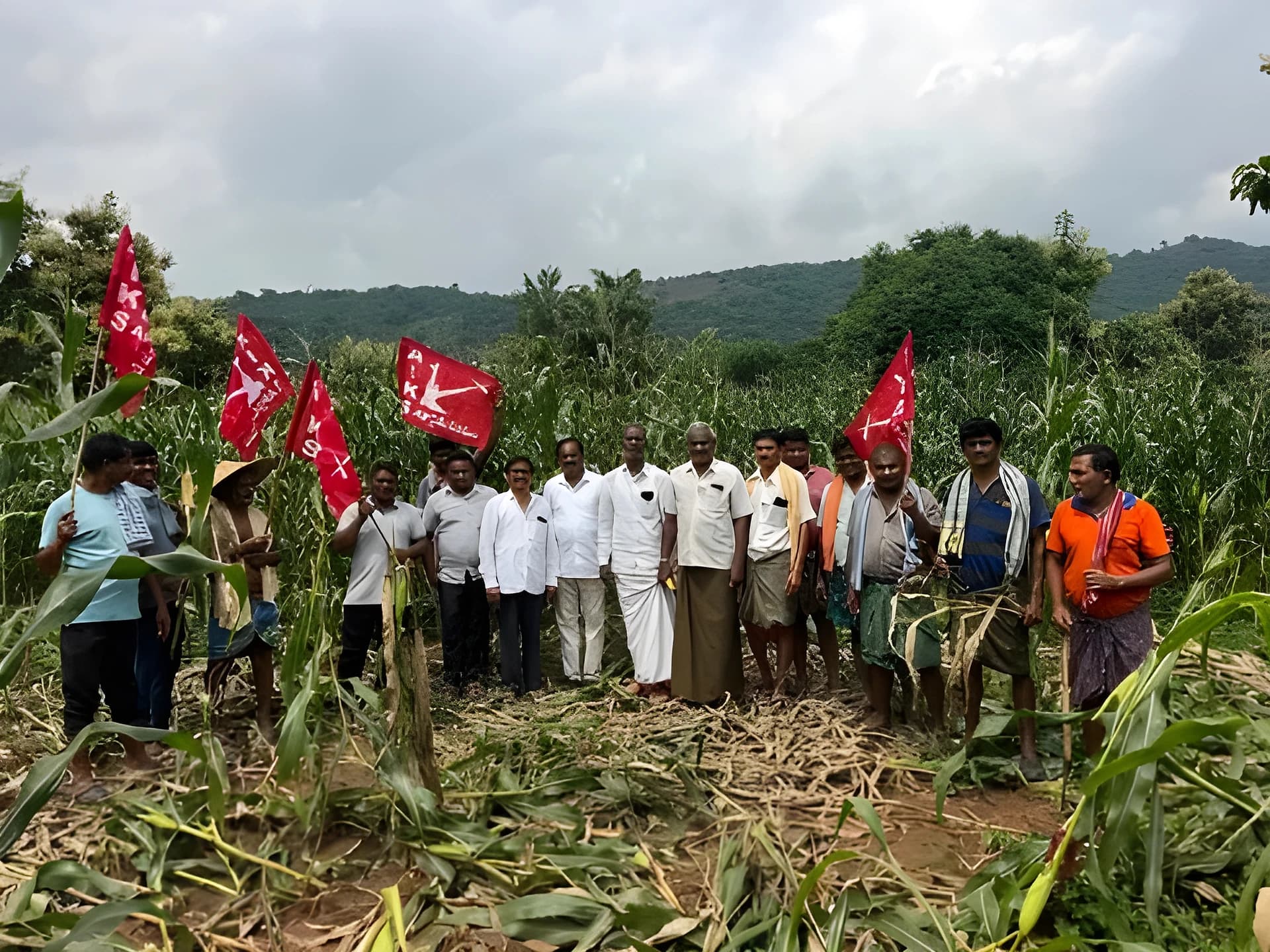 ఏనుగుల విధ్వంసం.. పరిహారమేది?