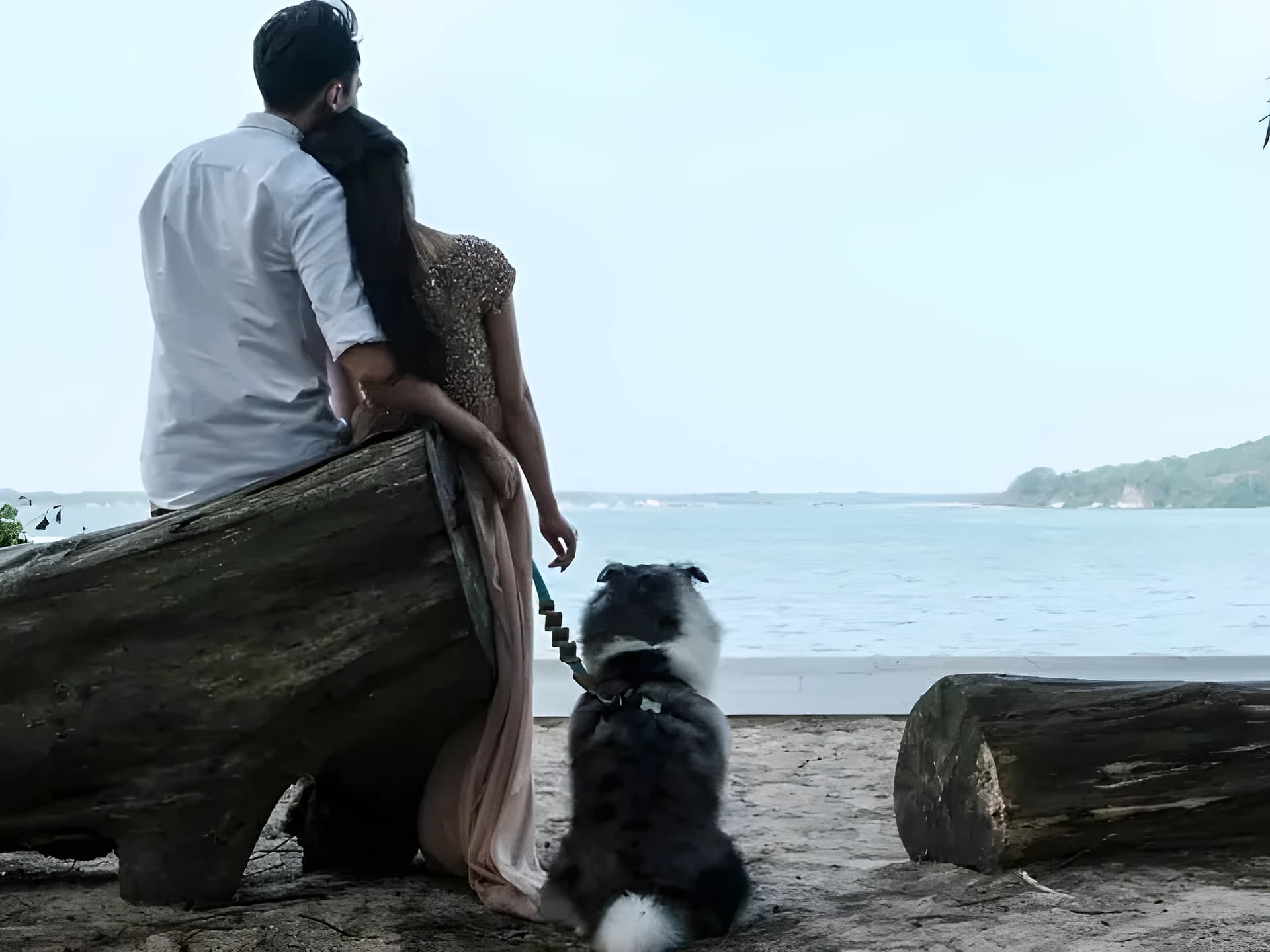 జననాలు డౌన్.. సర్కార్ Datingలోకి!