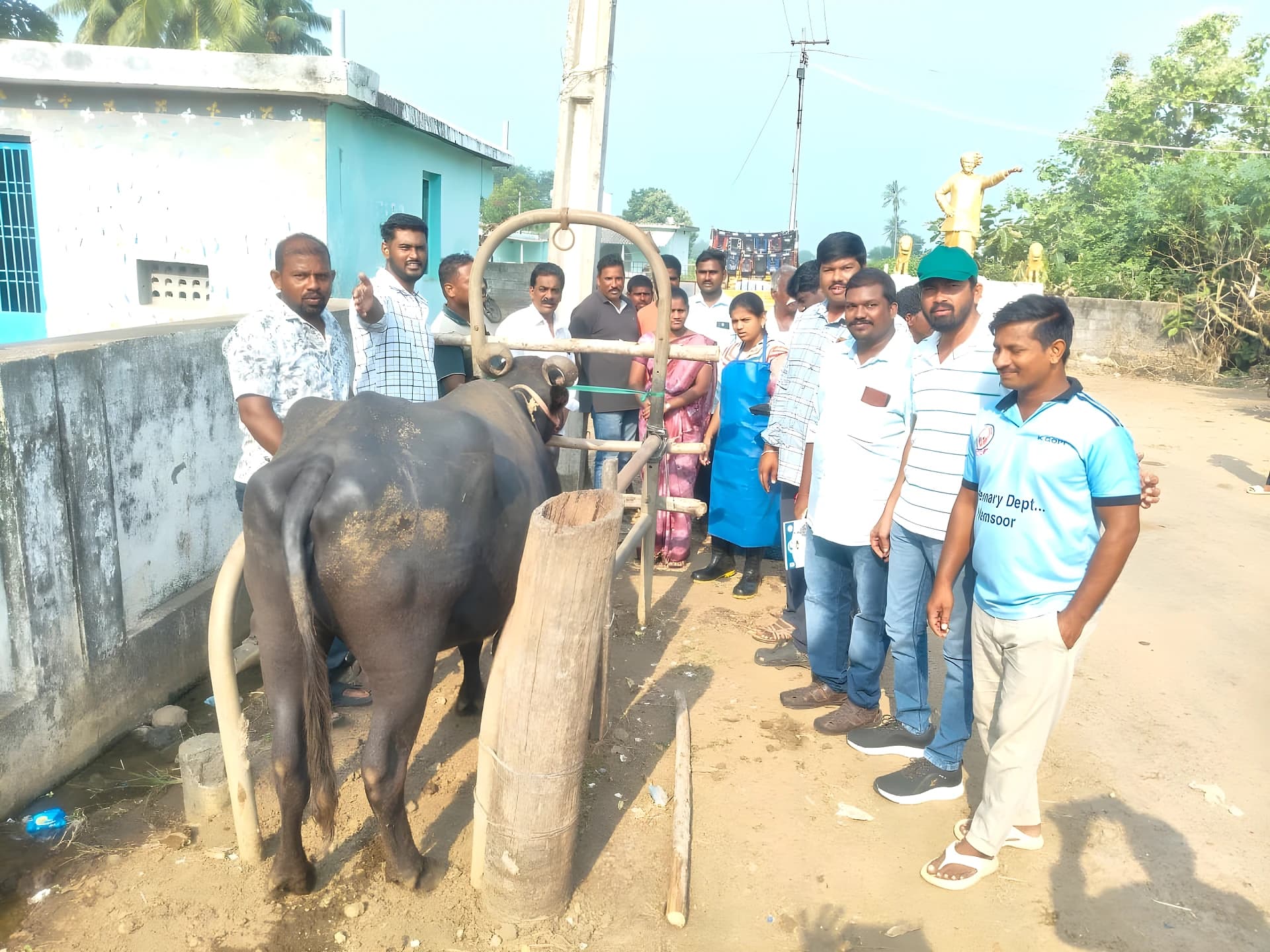రామన్నపాలెంలో పశు వంధ్యత్వ నివారణ శిబిరం
