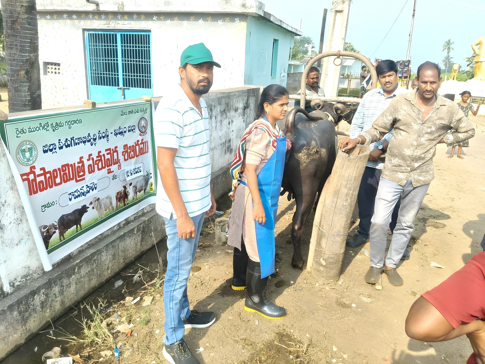 రామన్నపాలెంలో పశు వంధ్యత్వ నివారణ శిబిరం
