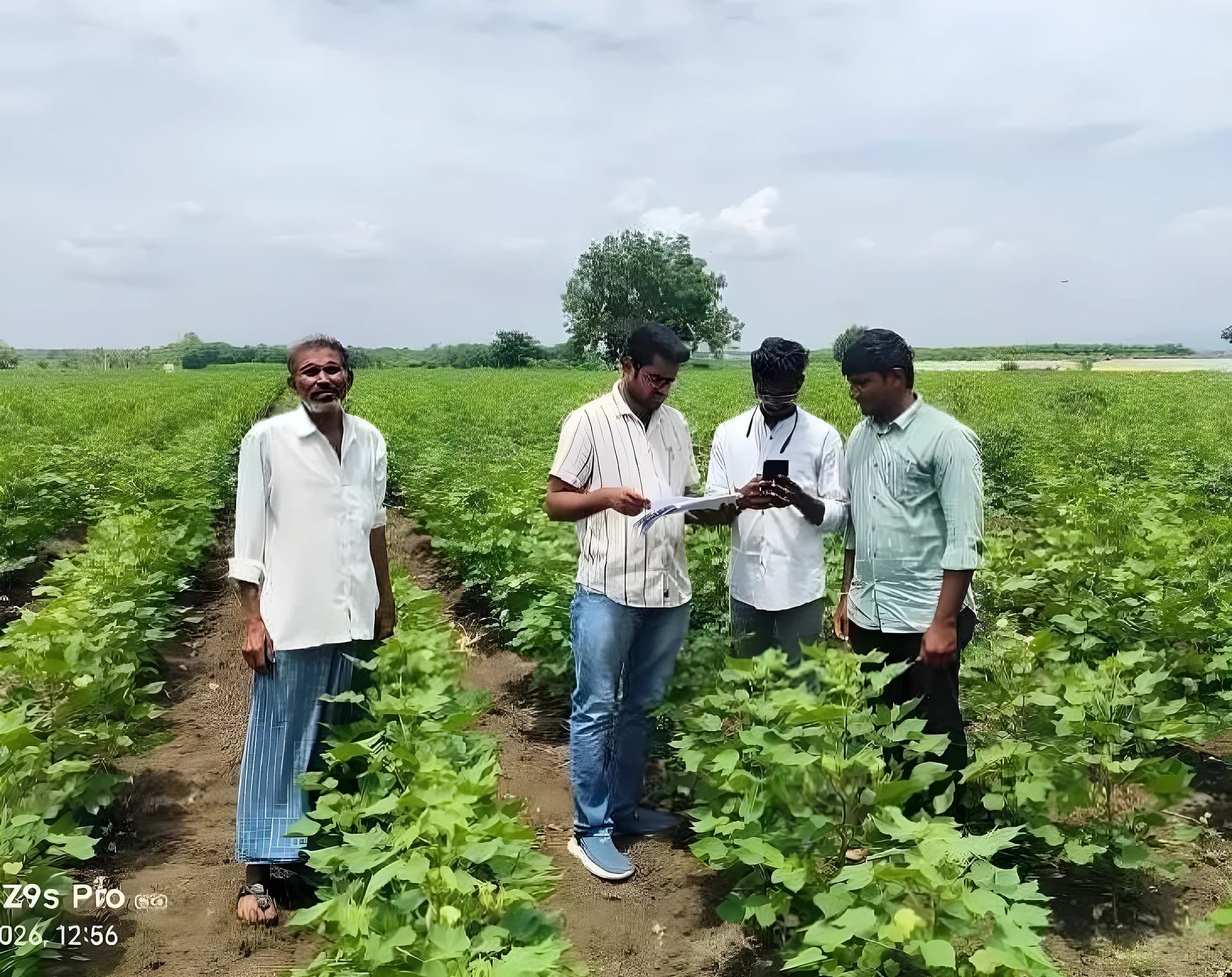 పంటల వివరాలు కచ్చితంగా నమోదు చేయాలి