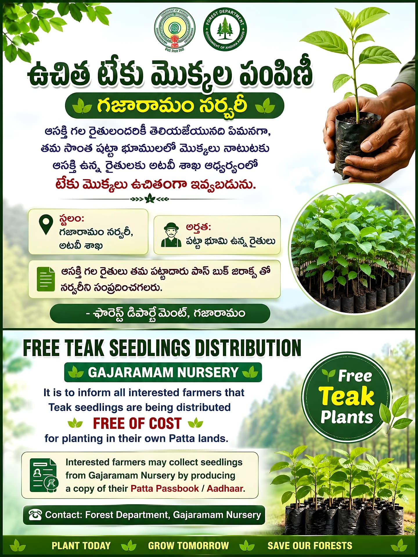 గజారామం నర్సరీలో ఉచితంగా టేకు మొక్కల పంపిణీ