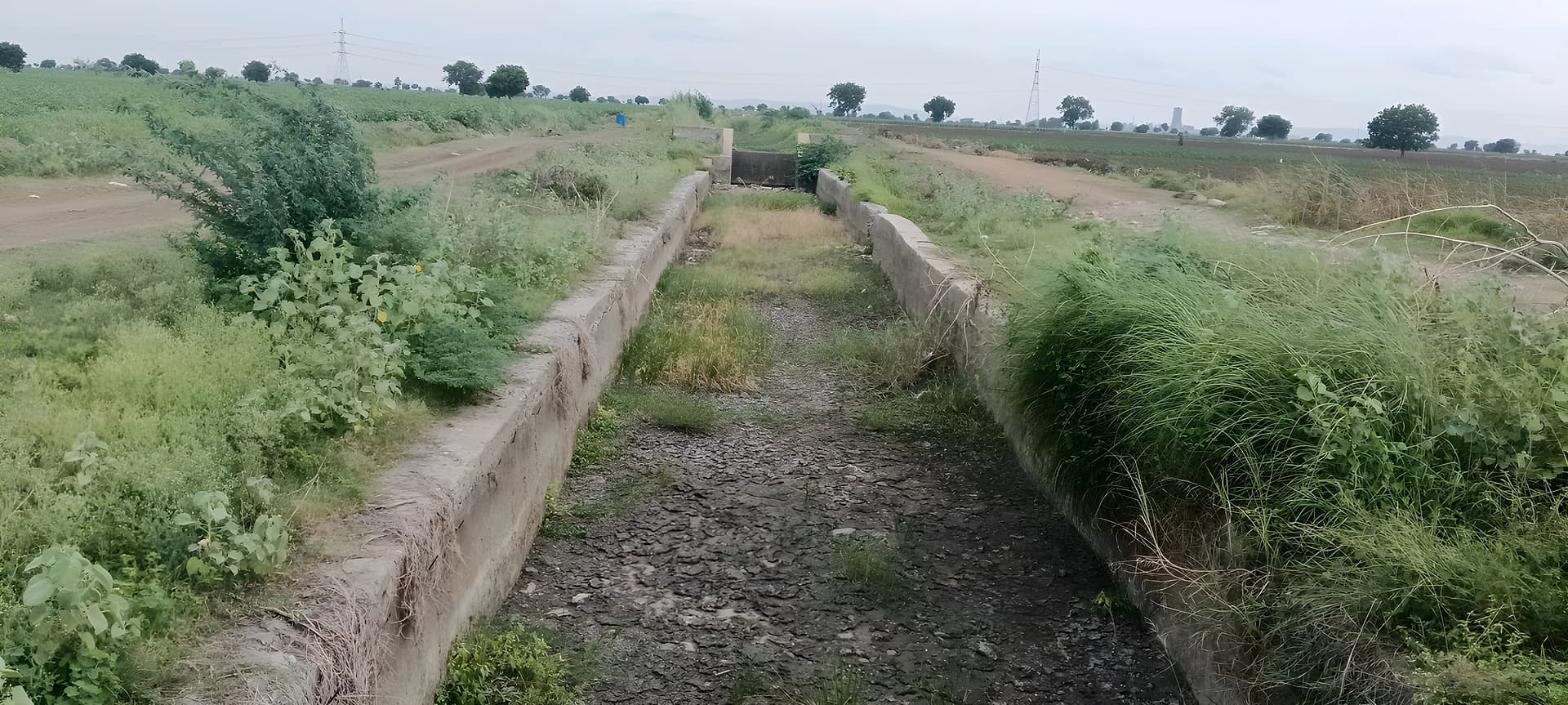 తంగెడ మేజర్ కాలువలో చుక్క నీరు లేదు