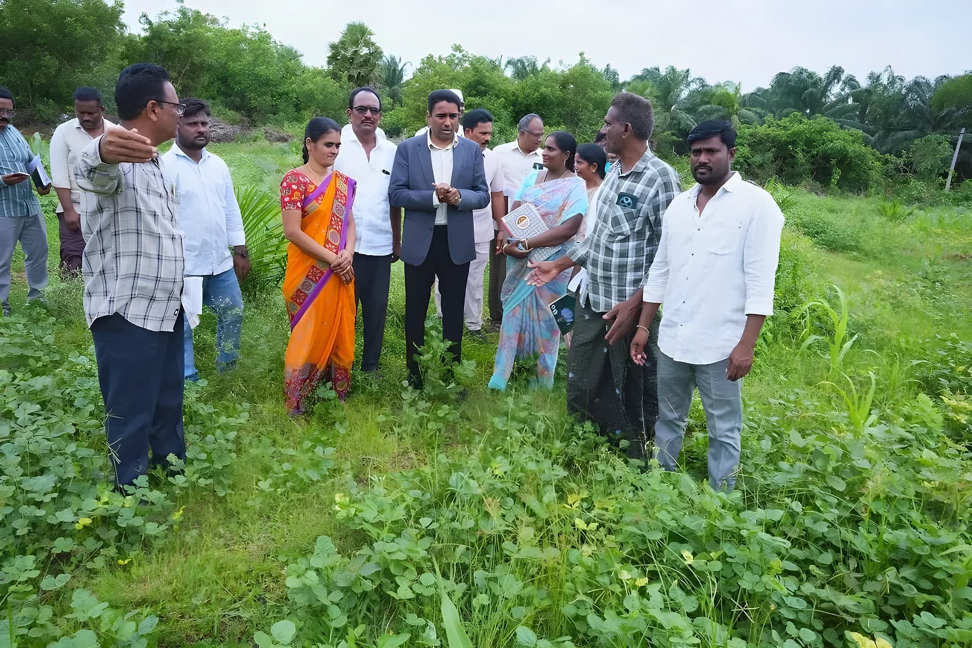 ప్రకృతి వ్యవసాయంతో సాగు ఖర్చులు తగ్గుతాయి