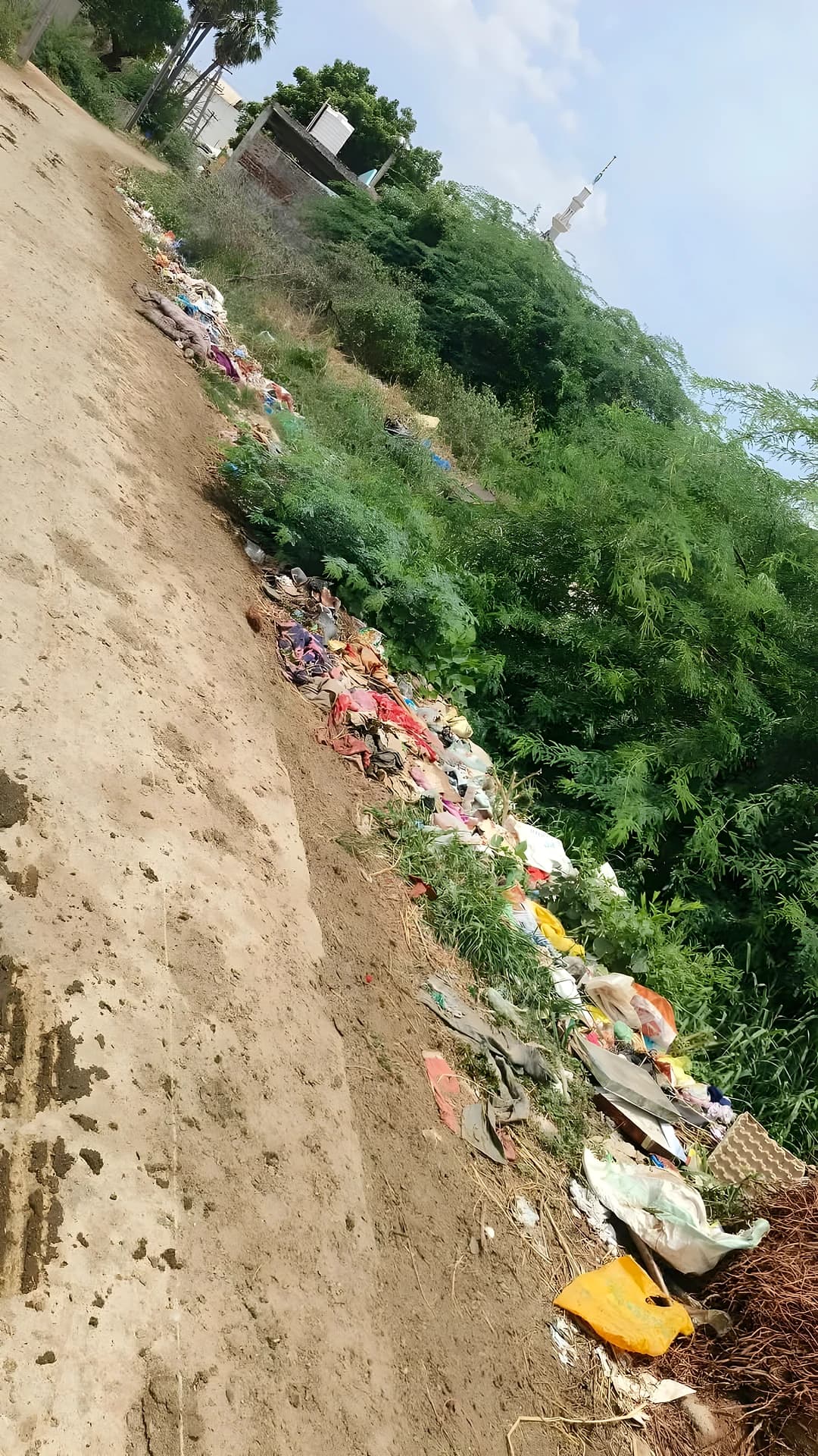 పారిశుద్ధ్య సమస్యలపై అధికారుల దృష్టి సారించాలి