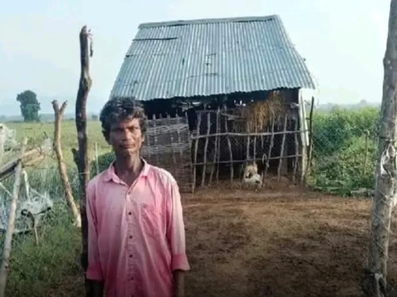 మేకలను ఎత్తుకెళ్లిన దుండగులు?