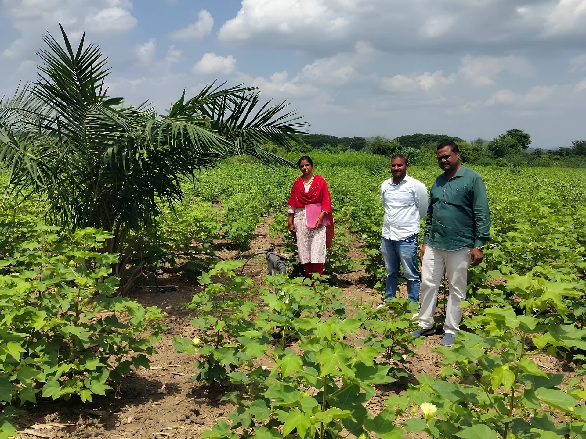 రైతు తోటలో డ్రిప్ పనితీరు పరిశీలన
